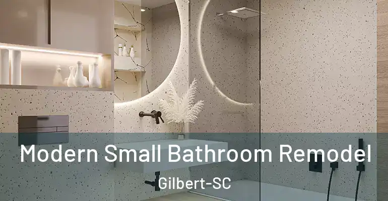 inner Bathroom imggen Modern Small Bathroom Remodel Gilbert-SC