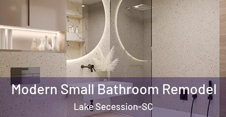 inner Bathroom imggen Modern Small Bathroom Remodel Lake Secession-SC