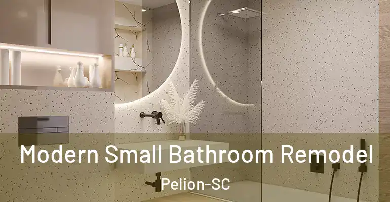 inner Bathroom imggen Modern Small Bathroom Remodel Pelion-SC