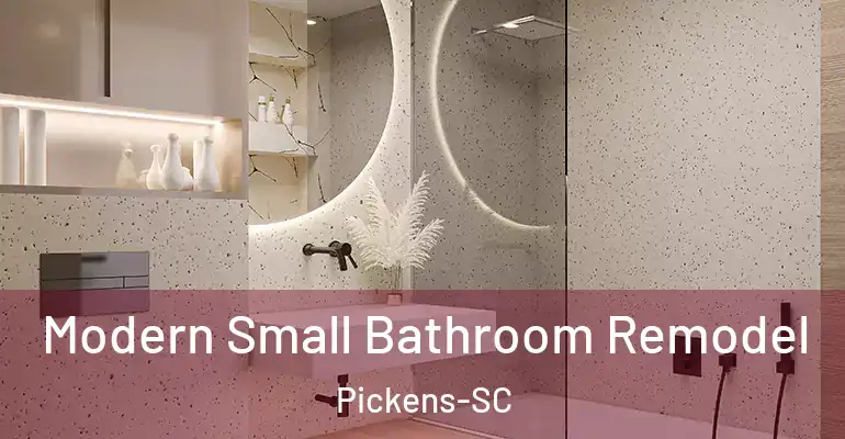inner Bathroom imggen Modern Small Bathroom Remodel Pickens-SC