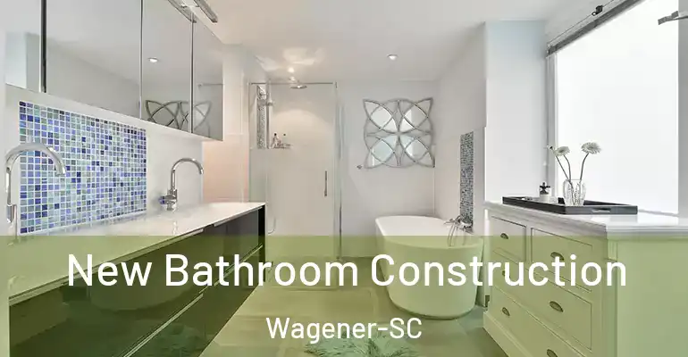 inner Bathroom imggen New Bathroom Construction Wagener-SC