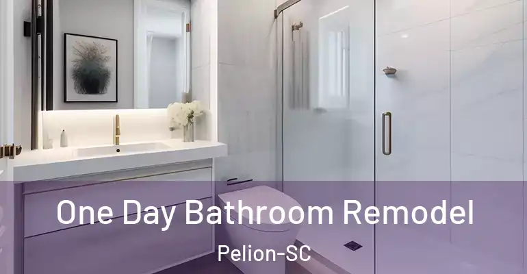 inner Bathroom imggen One Day Bathroom Remodel Pelion-SC