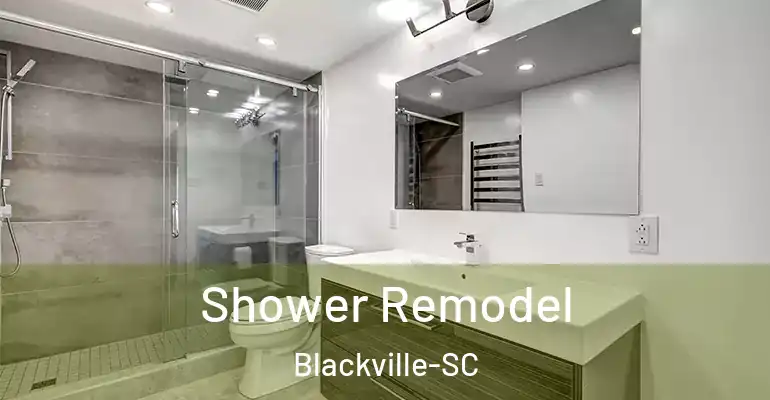 inner Bathroom imggen Shower Remodel Blackville-SC