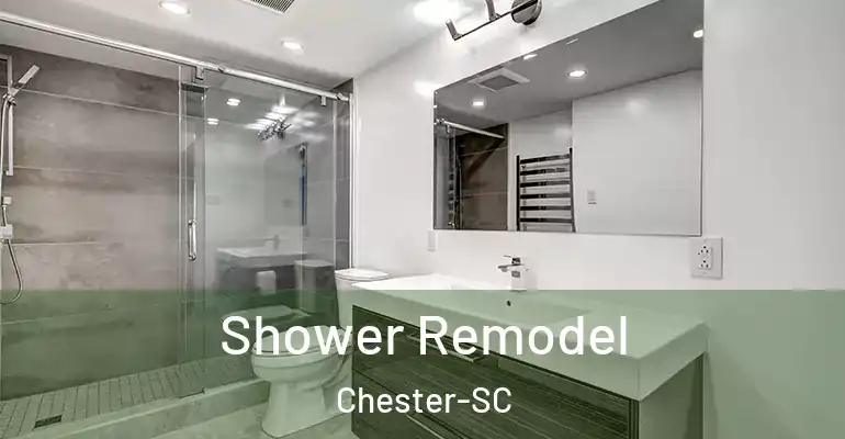 inner Bathroom imggen Shower Remodel Chester-SC