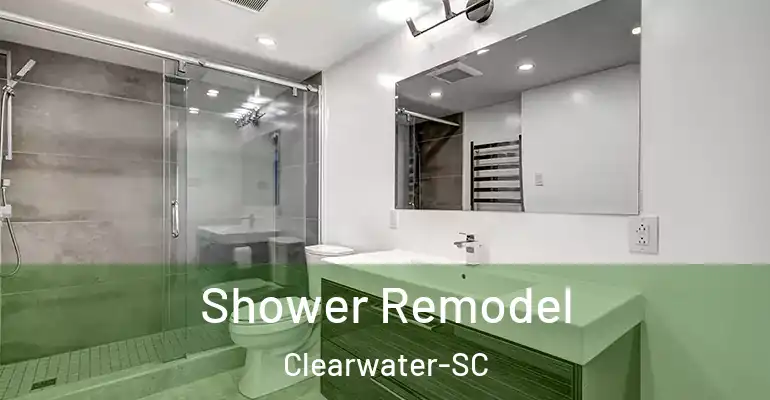 inner Bathroom imggen Shower Remodel Clearwater-SC
