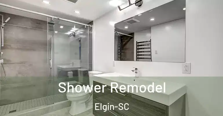 inner Bathroom imggen Shower Remodel Elgin-SC