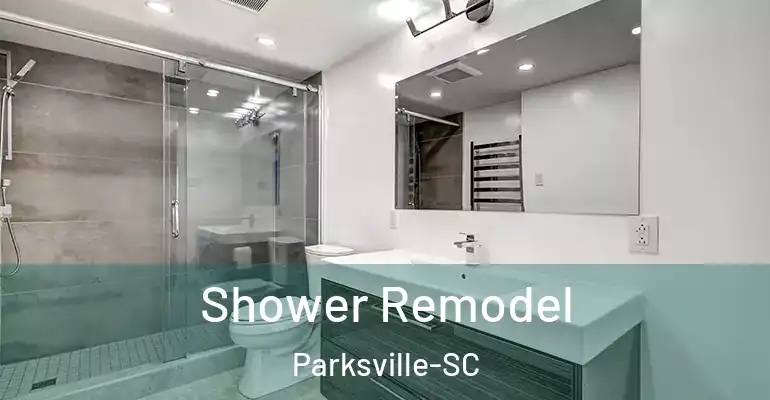 inner Bathroom imggen Shower Remodel Parksville-SC