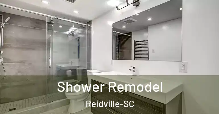 inner Bathroom imggen Shower Remodel Reidville-SC