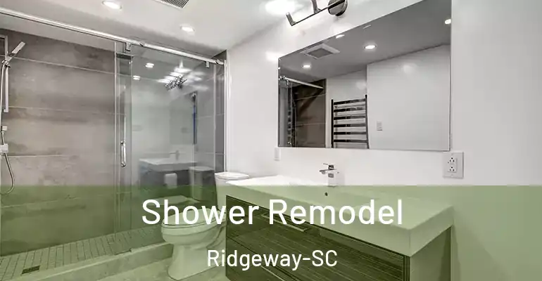 inner Bathroom imggen Shower Remodel Ridgeway-SC