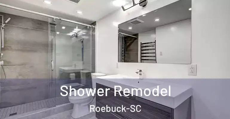 inner Bathroom imggen Shower Remodel Roebuck-SC