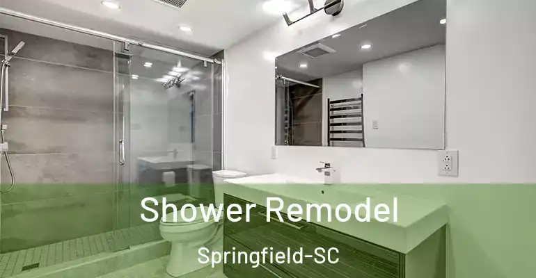 inner Bathroom imggen Shower Remodel Springfield-SC