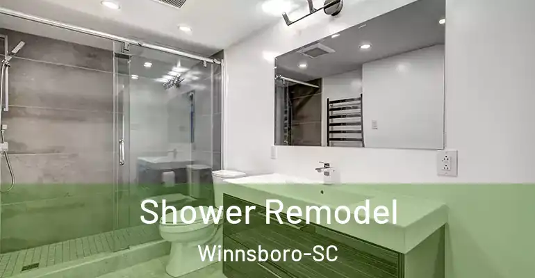 inner Bathroom imggen Shower Remodel Winnsboro-SC