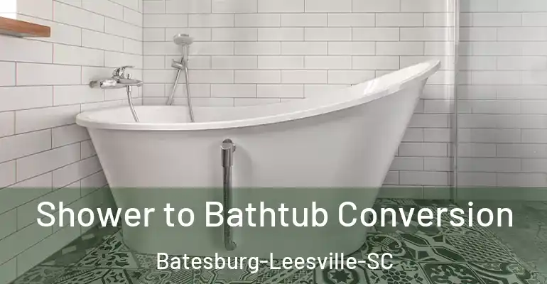 inner Bathroom imggen Shower to Bathtub Conversion Batesburg-Leesville-SC