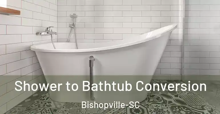 inner Bathroom imggen Shower to Bathtub Conversion Bishopville-SC