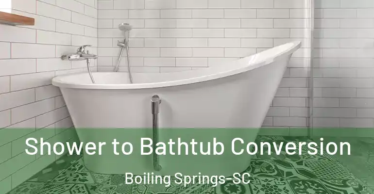 inner Bathroom imggen Shower to Bathtub Conversion Boiling Springs-SC