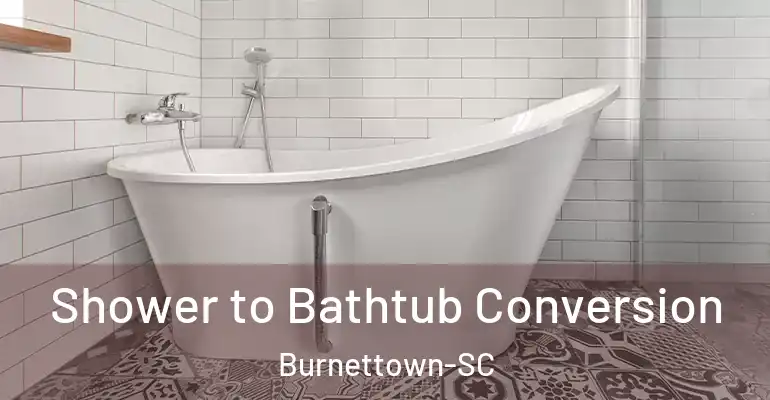 inner Bathroom imggen Shower to Bathtub Conversion Burnettown-SC