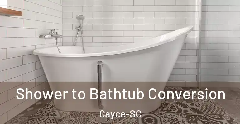 inner Bathroom imggen Shower to Bathtub Conversion Cayce-SC