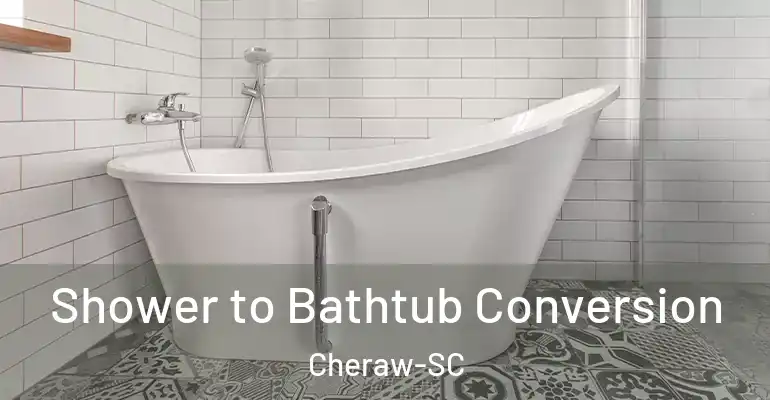 inner Bathroom imggen Shower to Bathtub Conversion Cheraw-SC