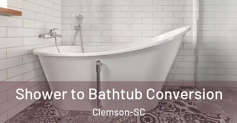 inner Bathroom imggen Shower to Bathtub Conversion Clemson-SC