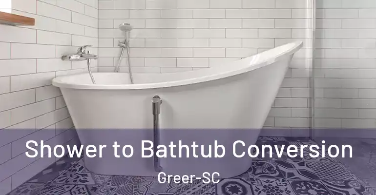 inner Bathroom imggen Shower to Bathtub Conversion Greer-SC