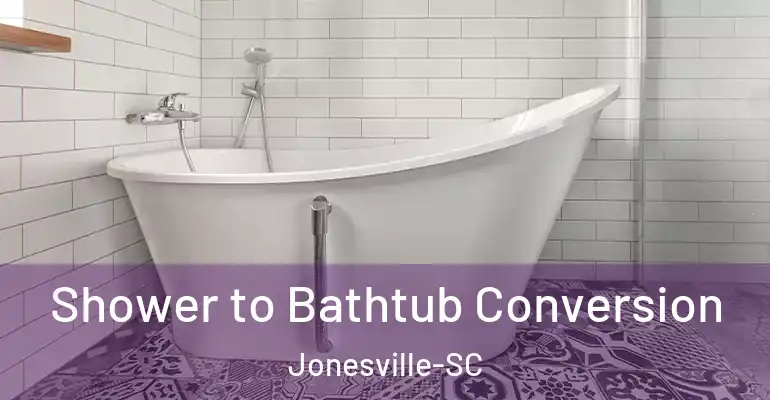inner Bathroom imggen Shower to Bathtub Conversion Jonesville-SC