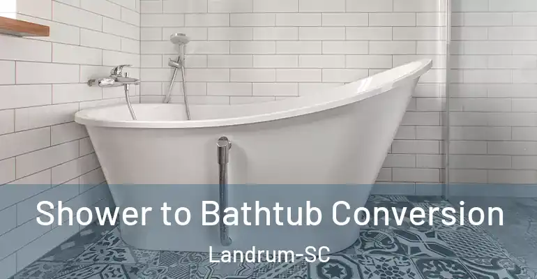 inner Bathroom imggen Shower to Bathtub Conversion Landrum-SC