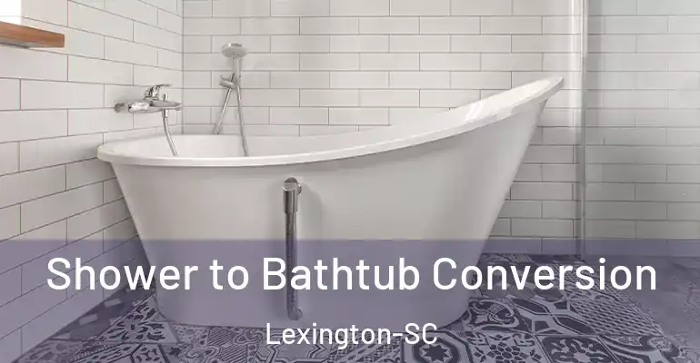 inner Bathroom imggen Shower to Bathtub Conversion Lexington-SC