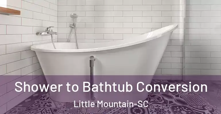inner Bathroom imggen Shower to Bathtub Conversion Little Mountain-SC