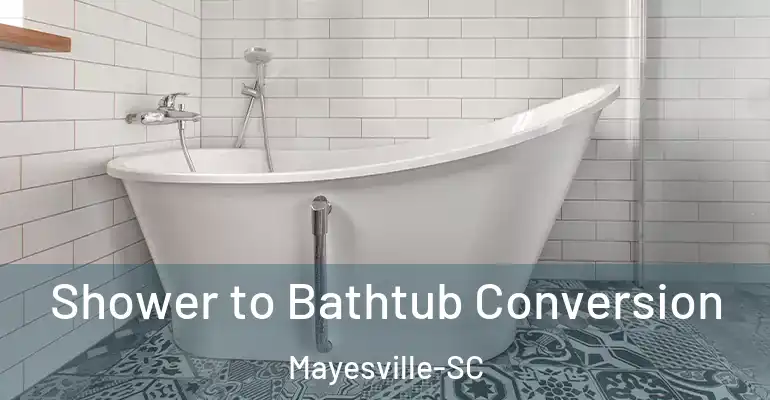 inner Bathroom imggen Shower to Bathtub Conversion Mayesville-SC