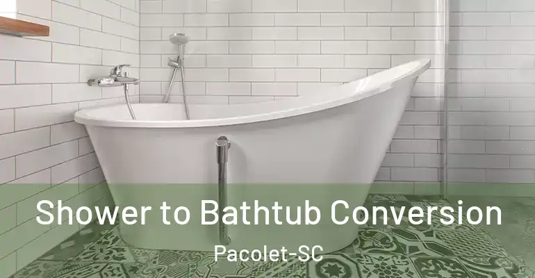 inner Bathroom imggen Shower to Bathtub Conversion Pacolet-SC
