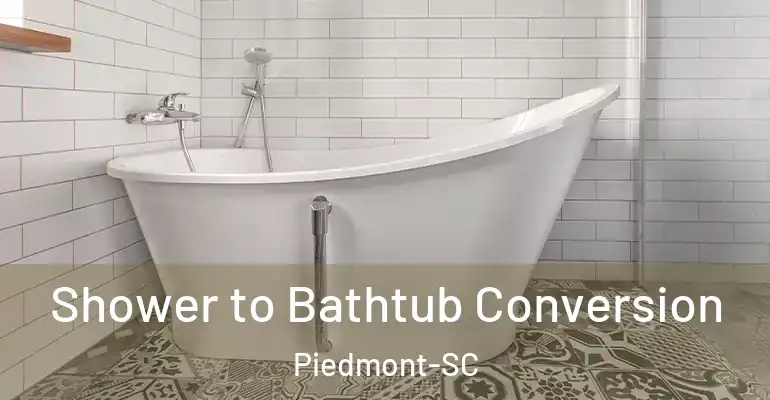 inner Bathroom imggen Shower to Bathtub Conversion Piedmont-SC