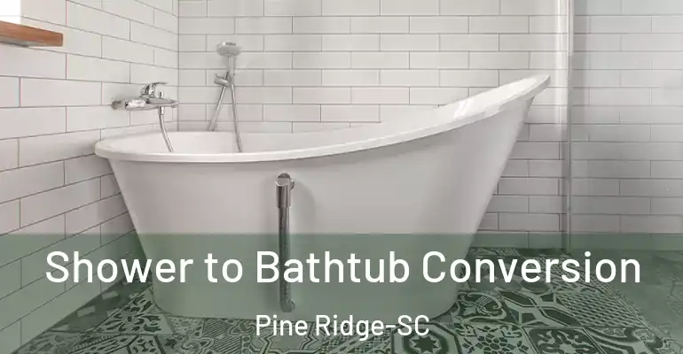 inner Bathroom imggen Shower to Bathtub Conversion Pine Ridge-SC