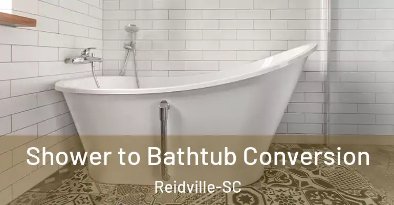 inner Bathroom imggen Shower to Bathtub Conversion Reidville-SC
