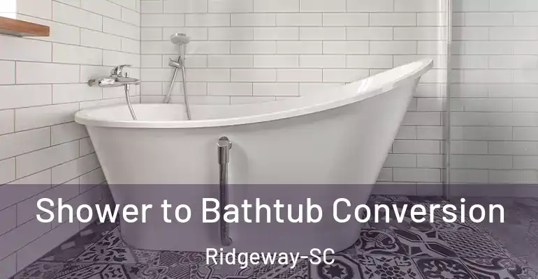 inner Bathroom imggen Shower to Bathtub Conversion Ridgeway-SC
