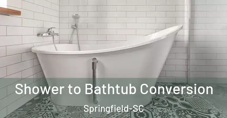 inner Bathroom imggen Shower to Bathtub Conversion Springfield-SC