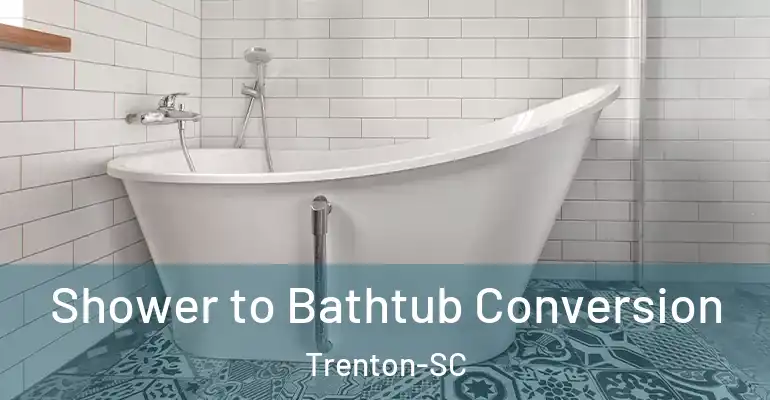 inner Bathroom imggen Shower to Bathtub Conversion Trenton-SC