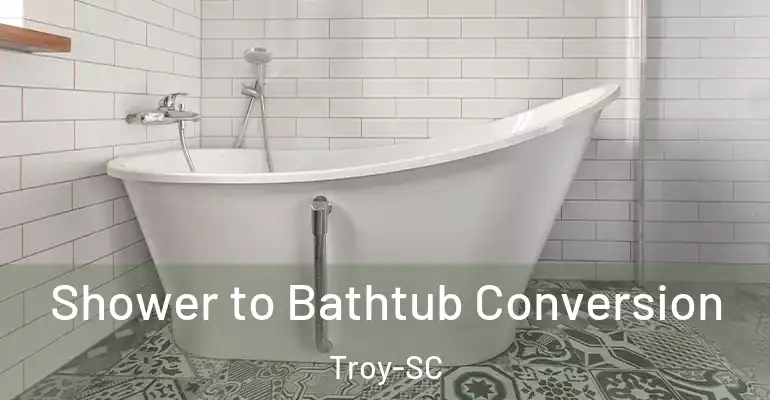 inner Bathroom imggen Shower to Bathtub Conversion Troy-SC