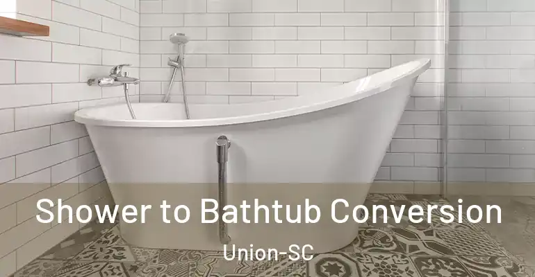 inner Bathroom imggen Shower to Bathtub Conversion Union-SC