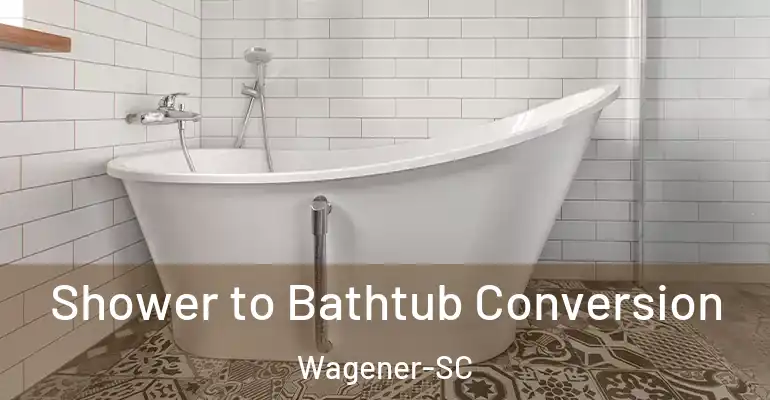 inner Bathroom imggen Shower to Bathtub Conversion Wagener-SC