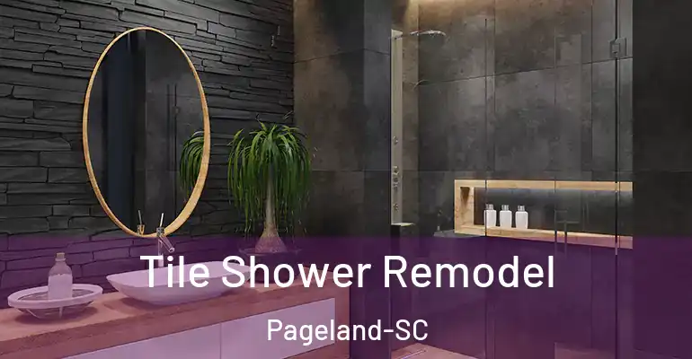 inner Bathroom imggen Tile Shower Remodel Pageland-SC