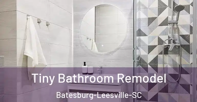 inner Bathroom imggen Tiny Bathroom Remodel Batesburg-Leesville-SC