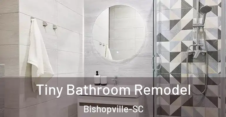 inner Bathroom imggen Tiny Bathroom Remodel Bishopville-SC