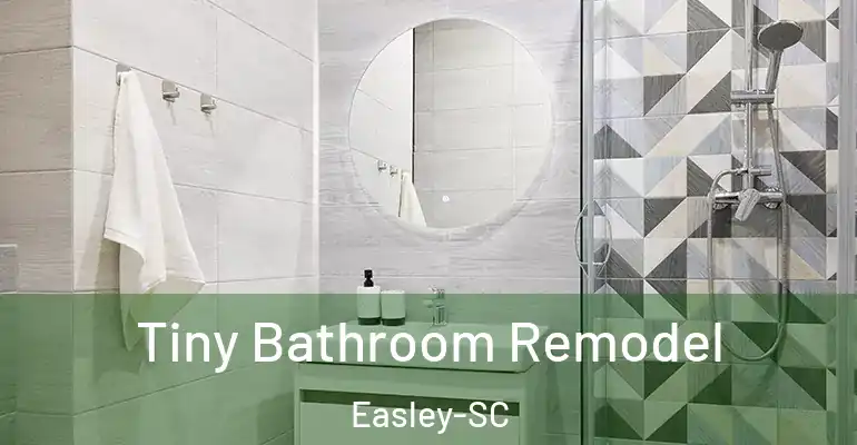 inner Bathroom imggen Tiny Bathroom Remodel Easley-SC