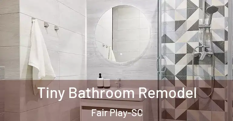inner Bathroom imggen Tiny Bathroom Remodel Fair Play-SC