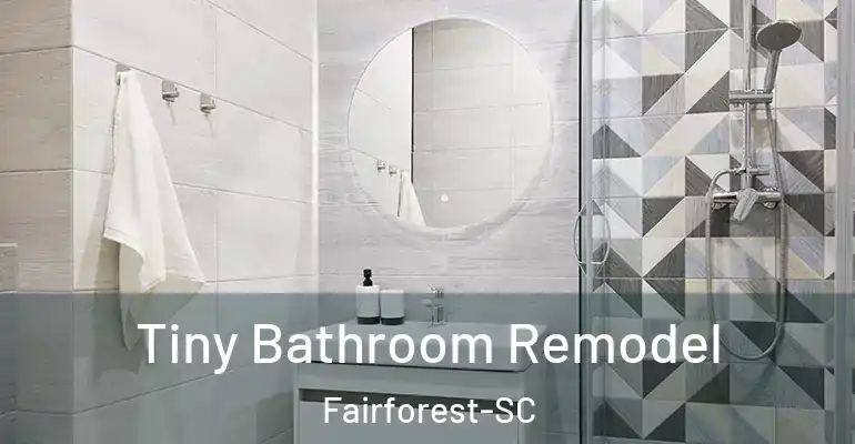 inner Bathroom imggen Tiny Bathroom Remodel Fairforest-SC