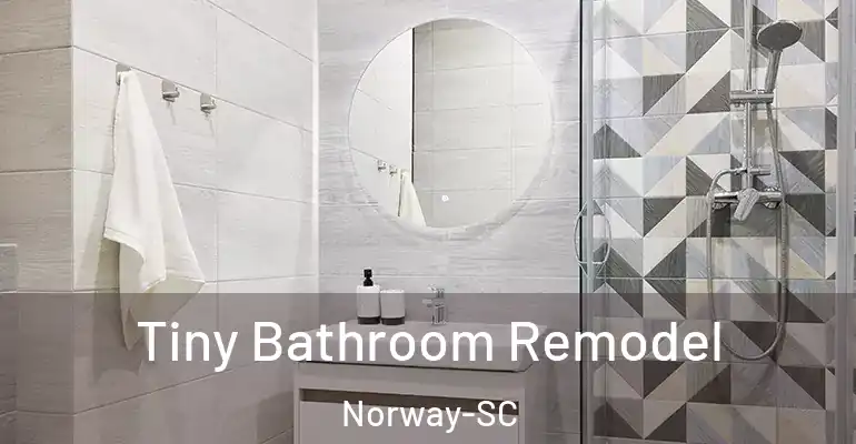 inner Bathroom imggen Tiny Bathroom Remodel Norway-SC