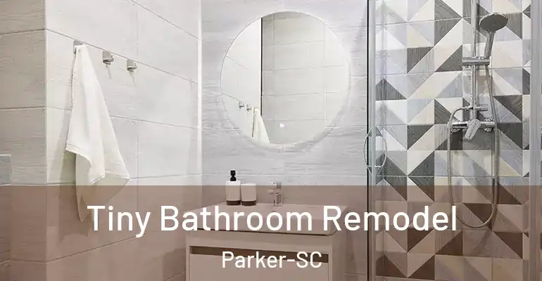 inner Bathroom imggen Tiny Bathroom Remodel Parker-SC