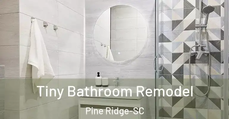 inner Bathroom imggen Tiny Bathroom Remodel Pine Ridge-SC