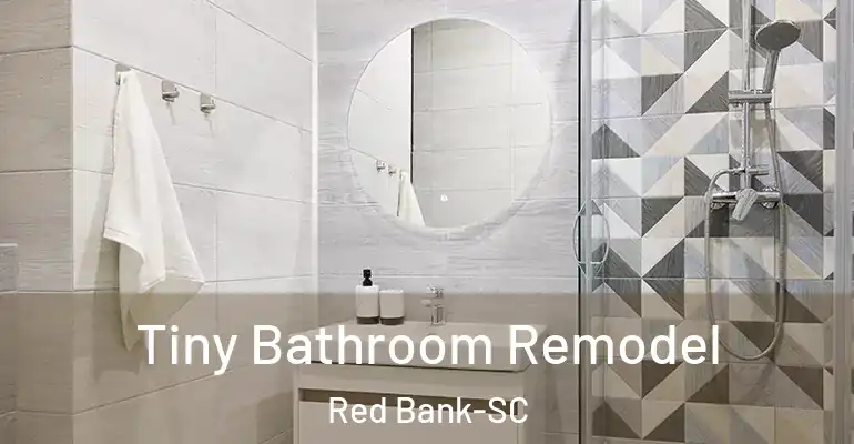 inner Bathroom imggen Tiny Bathroom Remodel Red Bank-SC