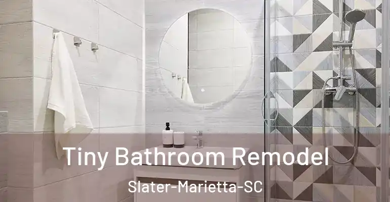 inner Bathroom imggen Tiny Bathroom Remodel Slater-Marietta-SC